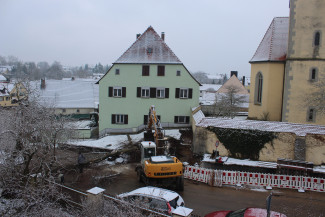 Bagger hilft beim Baumfällen auf der Baustelle