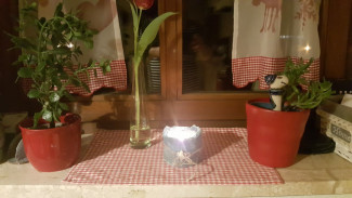 Licht am Fenster 